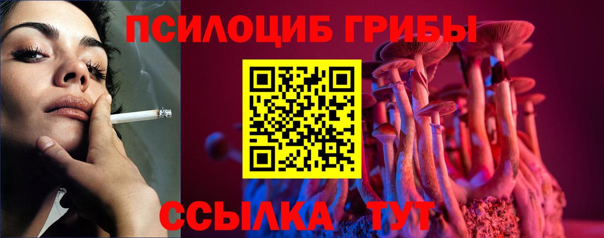 Псилоцибиновые грибы мицелий Артём
